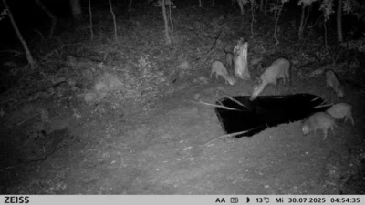 Foto des Albums: Trinkwasserstellen für Wildtiere