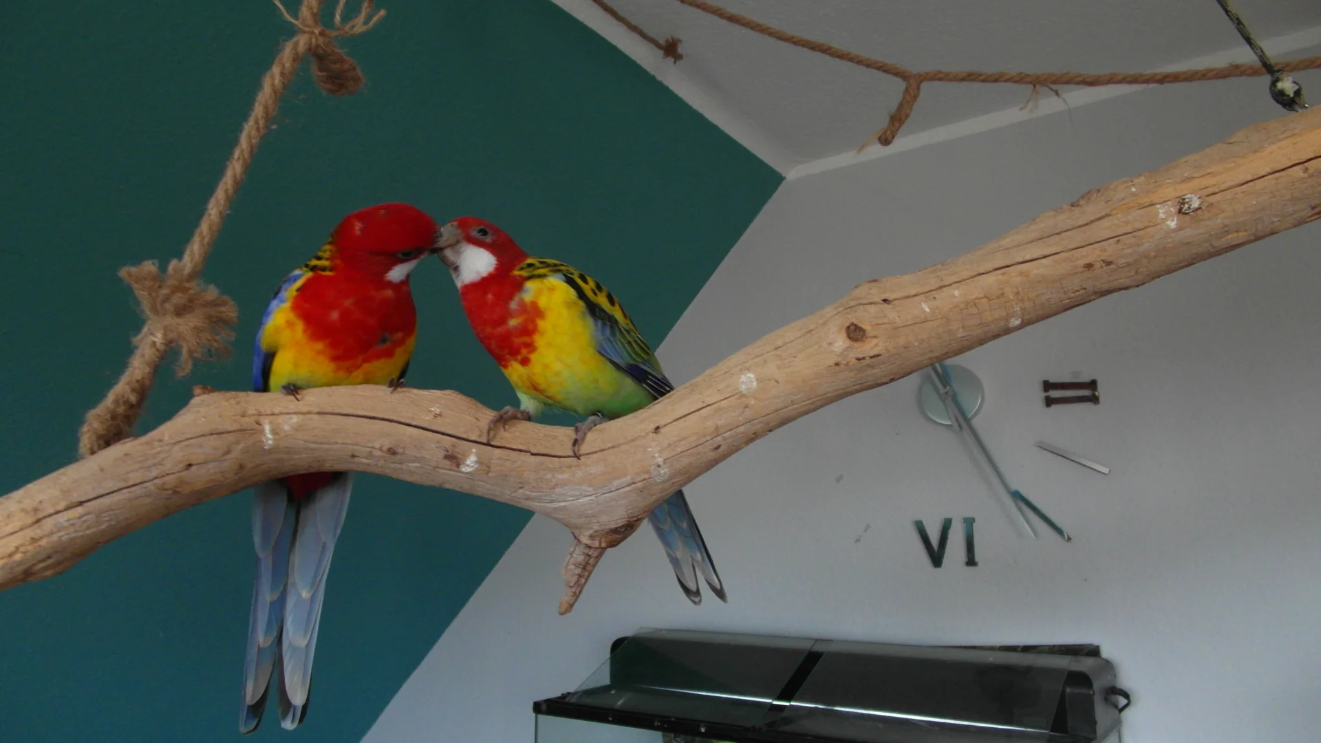 Bild der Galerie