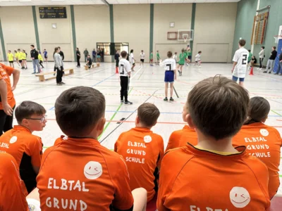 Foto des Albums: Zweifelderballtunier Karstädt