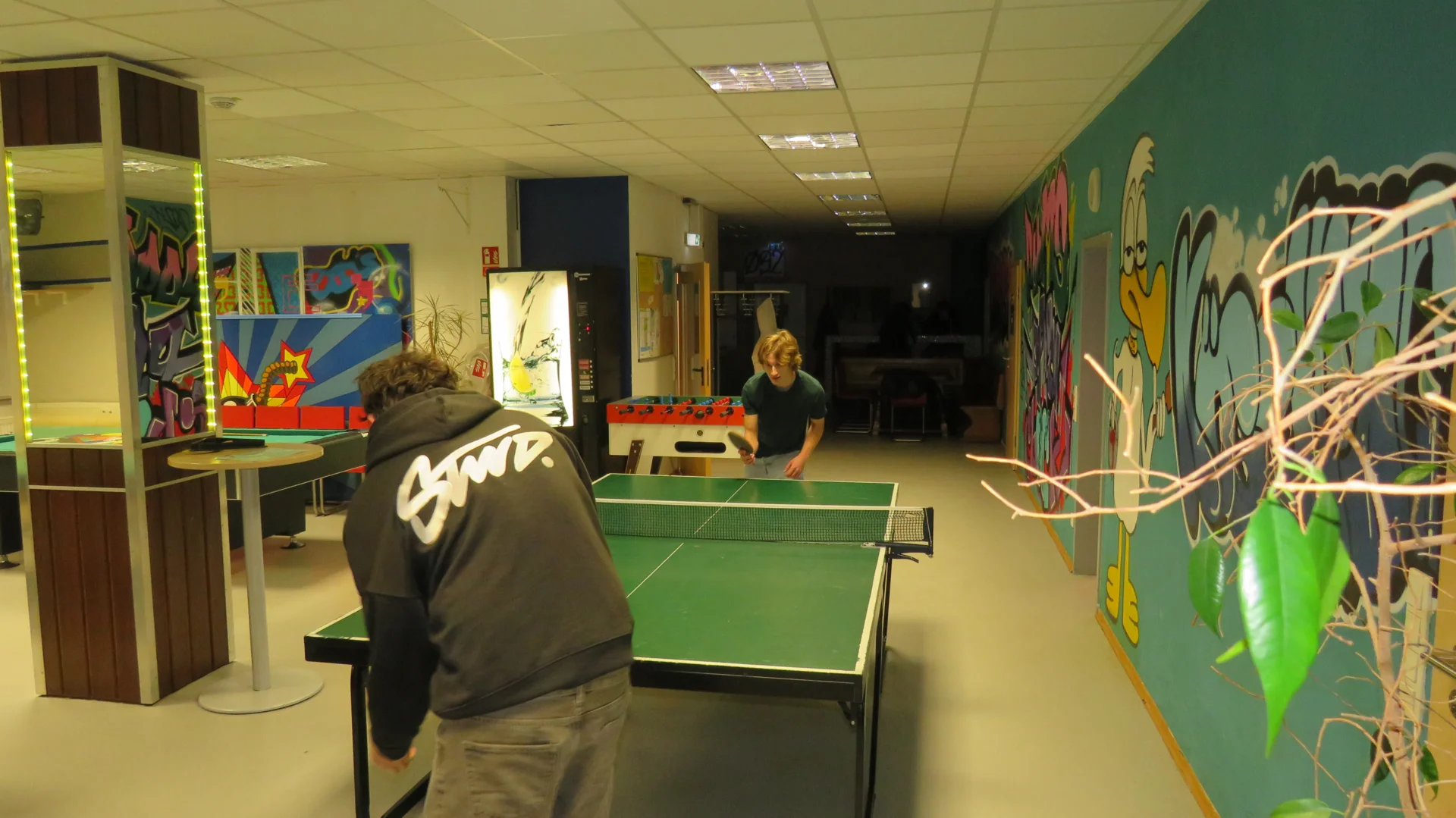 Bild der Galerie