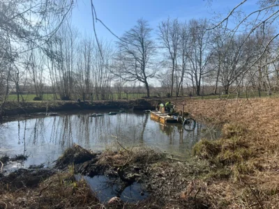 Foto des Albums: Reinigung unseres Regenrückhaltebeckens 