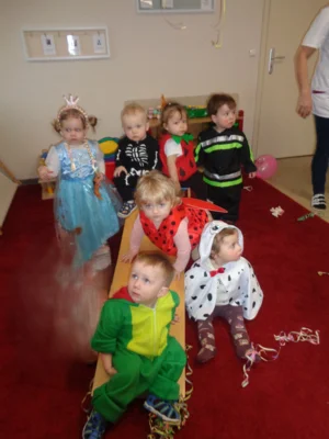 Foto des Albums: Fasching 2026