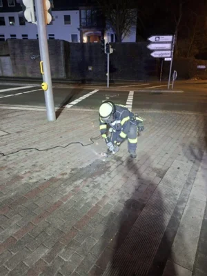 Foto des Albums: TH 1  Amtshilfe Polizei