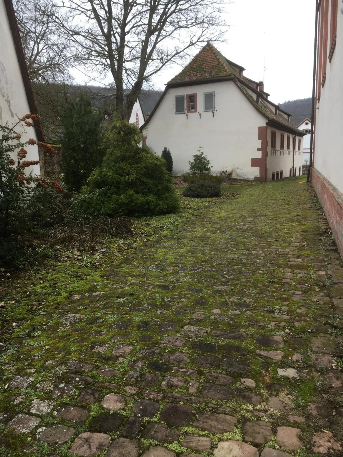 Bild der Galerie