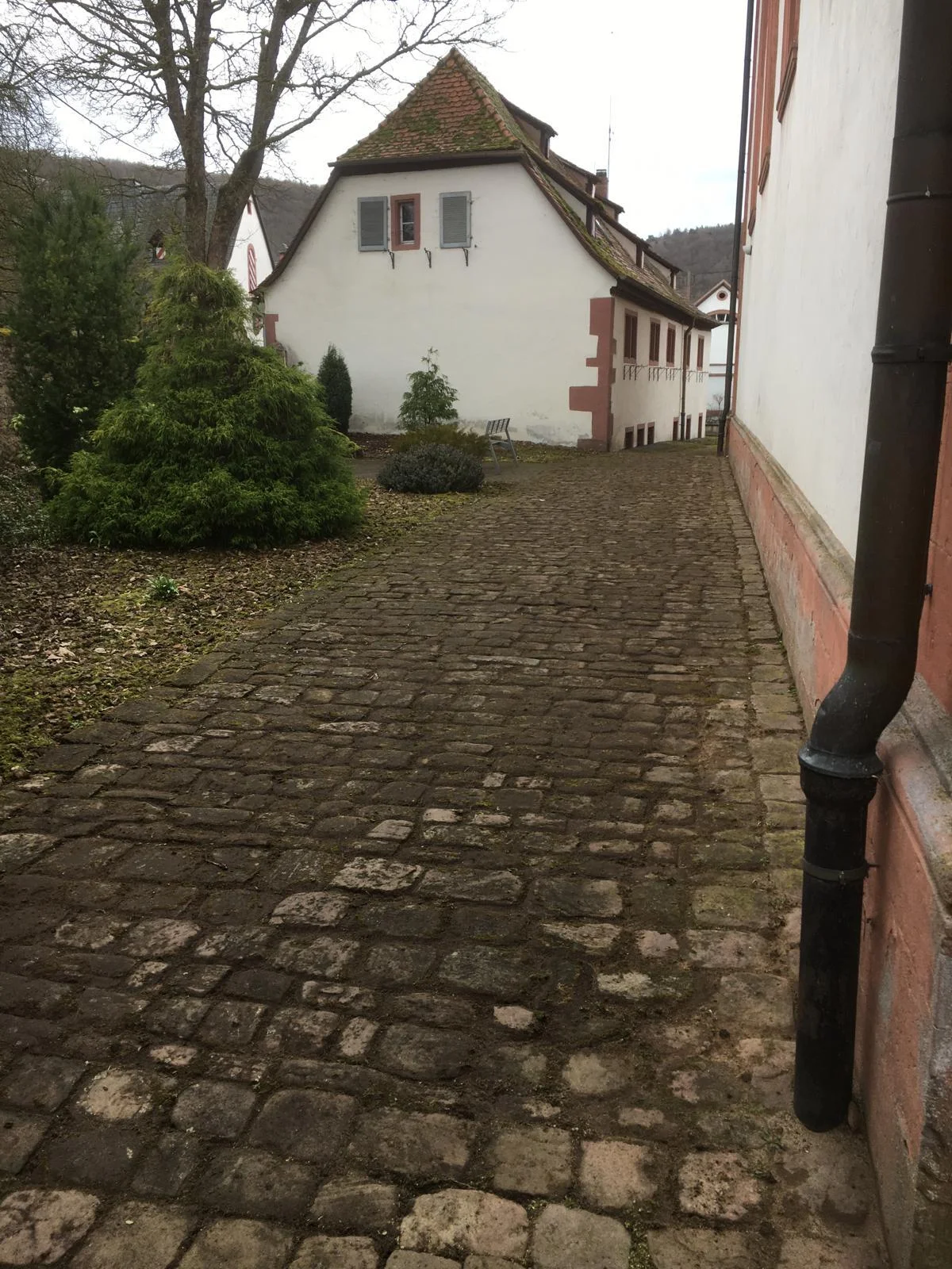 Bild der Galerie