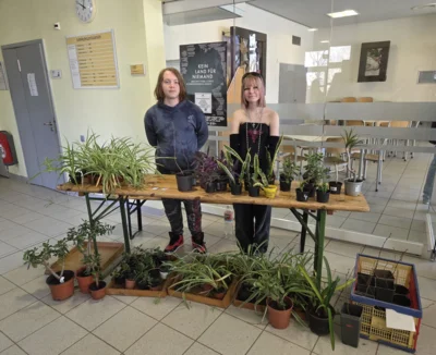 Foto des Albums: Osterbasar 2026