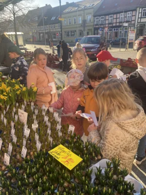 Foto des Albums: Frühling
