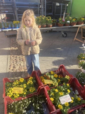 Foto des Albums: Frühling