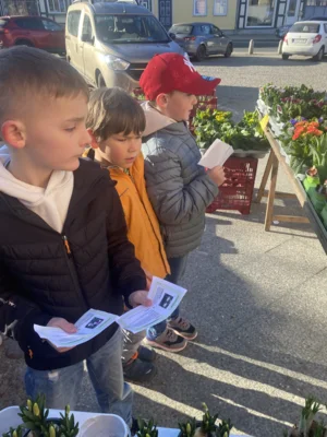 Foto des Albums: Frühling