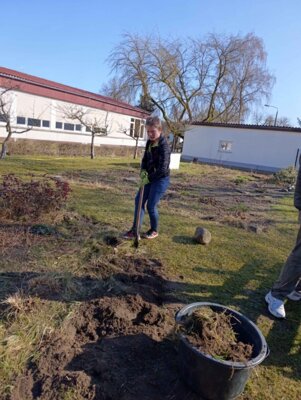 Foto des Albums: Schulgarten reloaded – Mission Frühling gestartet