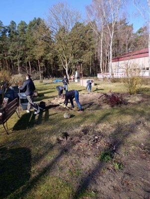 Foto des Albums: Schulgarten reloaded – Mission Frühling gestartet