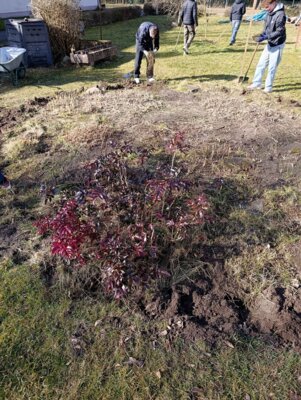 Foto des Albums: Schulgarten reloaded – Mission Frühling gestartet