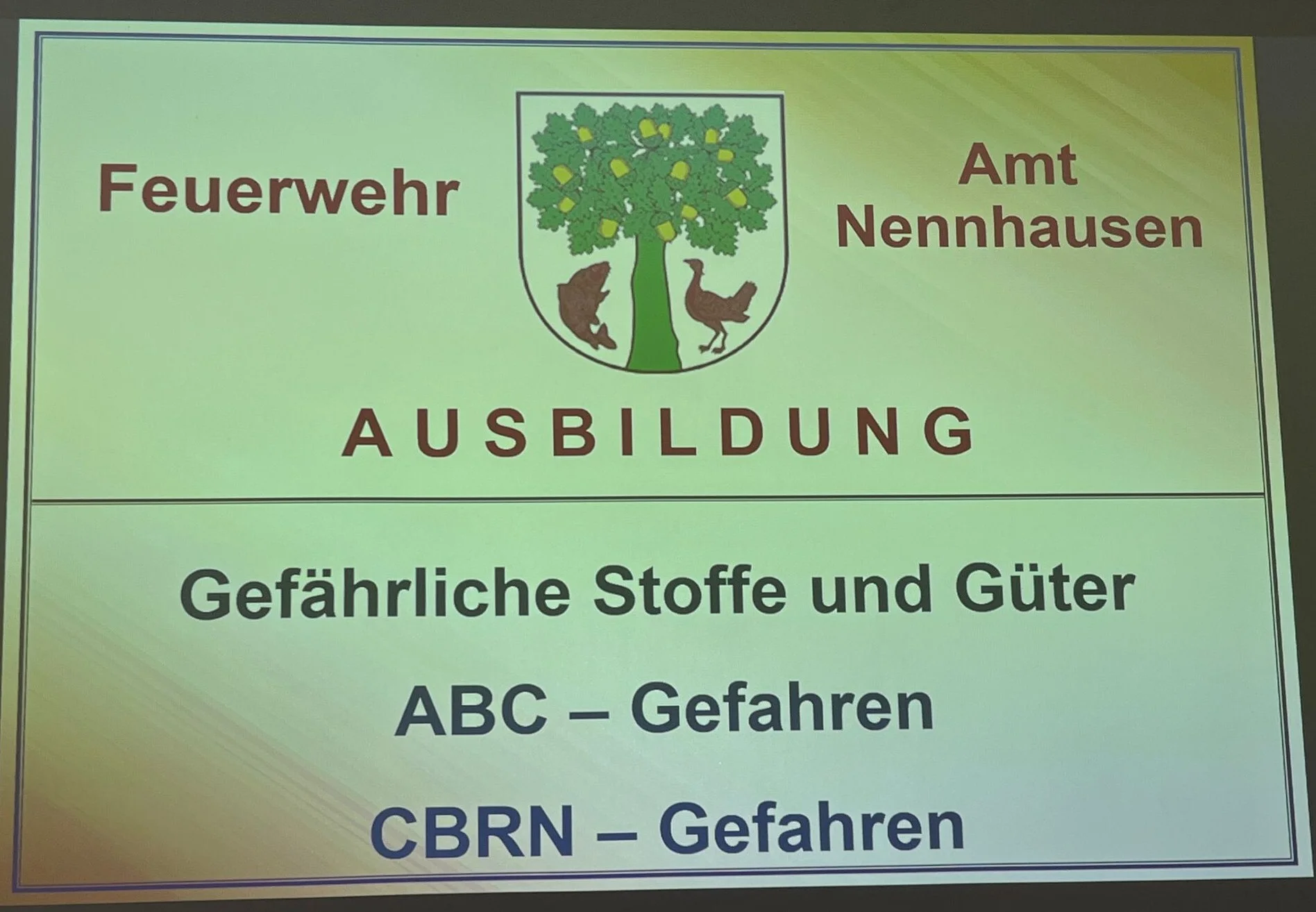 Bild der Galerie