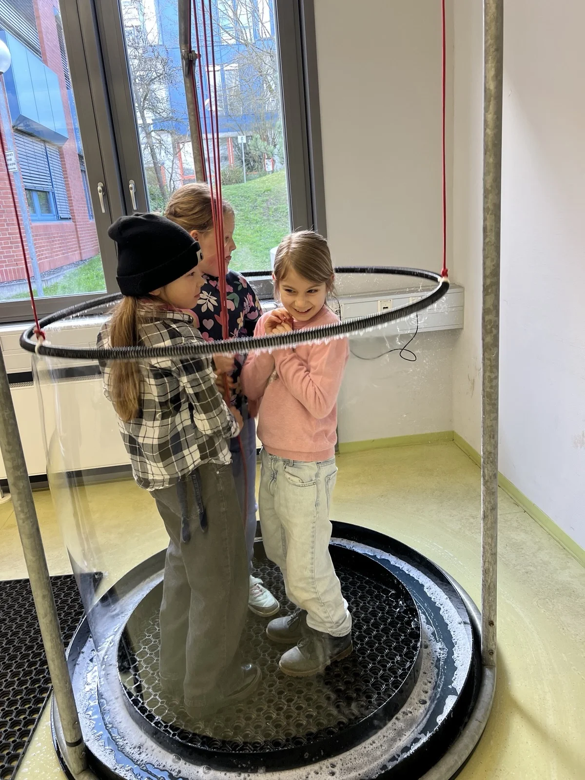 Bild der Galerie