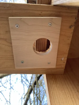Reparatur der zu gro&szlig;en &Ouml;ffnung  (Bild vergr&ouml;&szlig;ern)