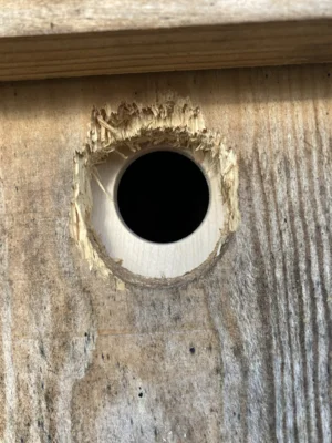 Neue &Ouml;ffnung hinter alter &Ouml;ffnung  (Bild vergr&ouml;&szlig;ern)