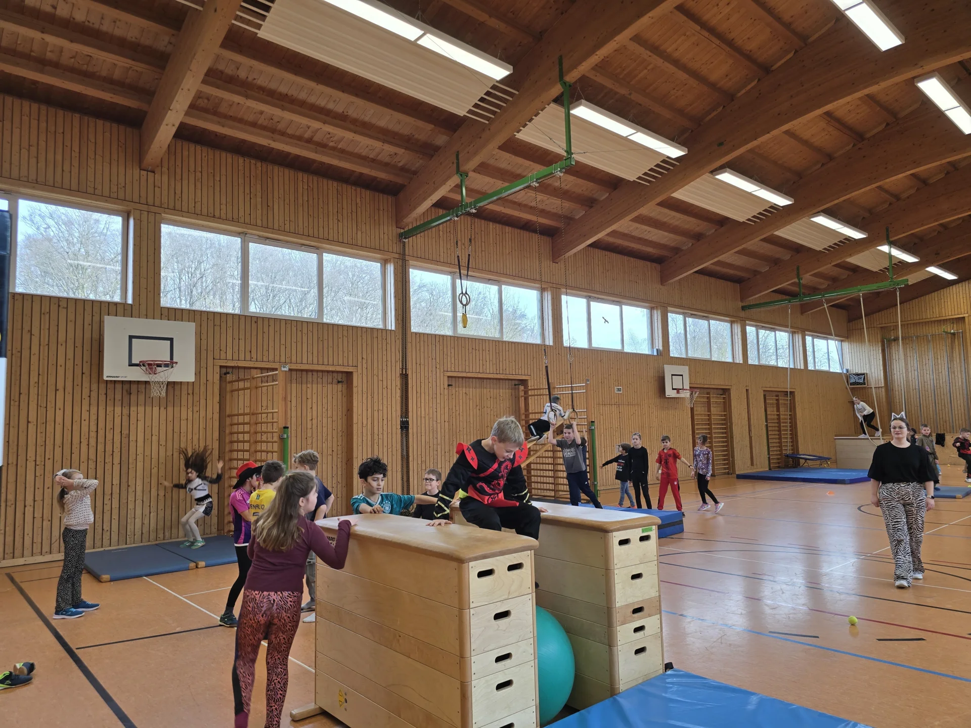 Bild der Galerie