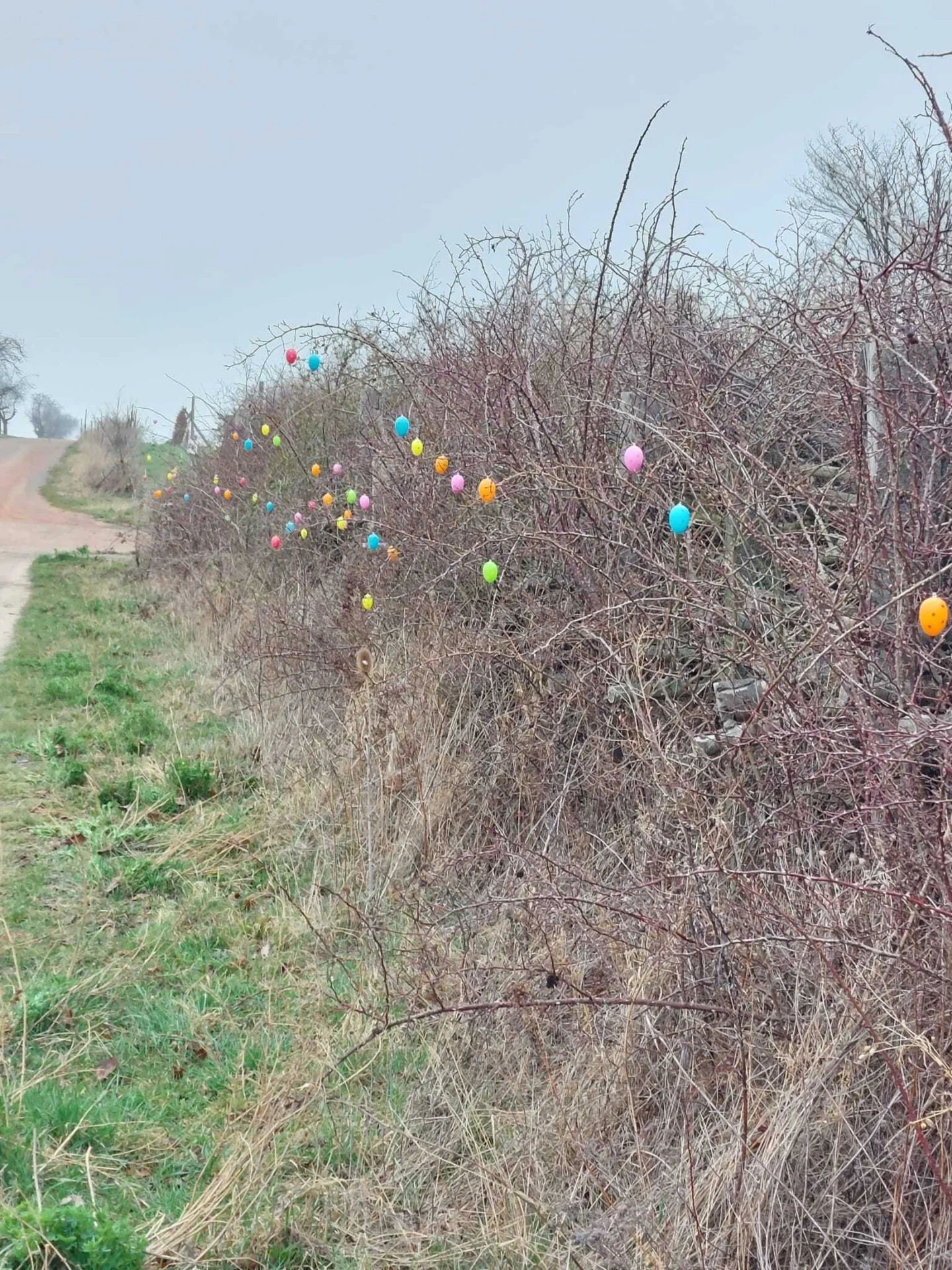 Bild : Ostern 2026