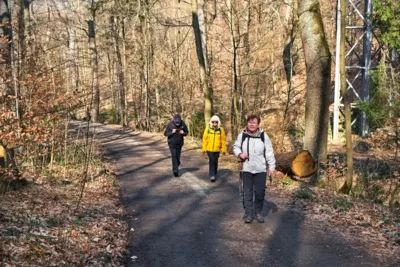 Aufstieg - Baumwurzelpfad  (Bild vergr&ouml;&szlig;ern)