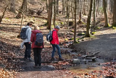 &Uuml;ber den Kaltentalsbach  (Bild vergr&ouml;&szlig;ern)
