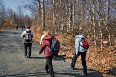 Weiter zum Molkenhaus  (Bild vergr&ouml;&szlig;ern)