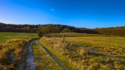 Foto des Albums: Weg zwischen Mentin und Ruhner Wald