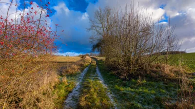 Foto des Albums: Weg zwischen Mentin und Ruhner Wald