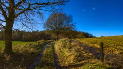 Foto des Albums: Weg zwischen Mentin und Ruhner Wald