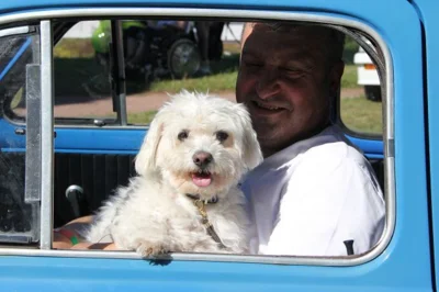 Foto des Albums: 9. Freigericht Classic 2025