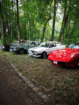 Foto des Albums: 5. Freigericht Classic 2019