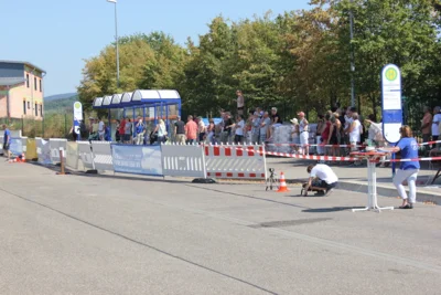 Foto des Albums: 2. Freigericht Classic 2016