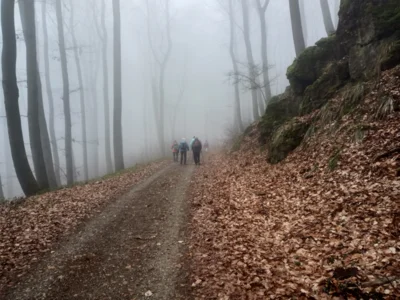 "Seltsam, im Nebel zu Wandern&deg; (aus Im Nebel von Hermann Hesse)  (Bild vergr&ouml;&szlig;ern)