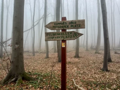 Auf dem richtigen Weg?  (Bild vergr&ouml;&szlig;ern)