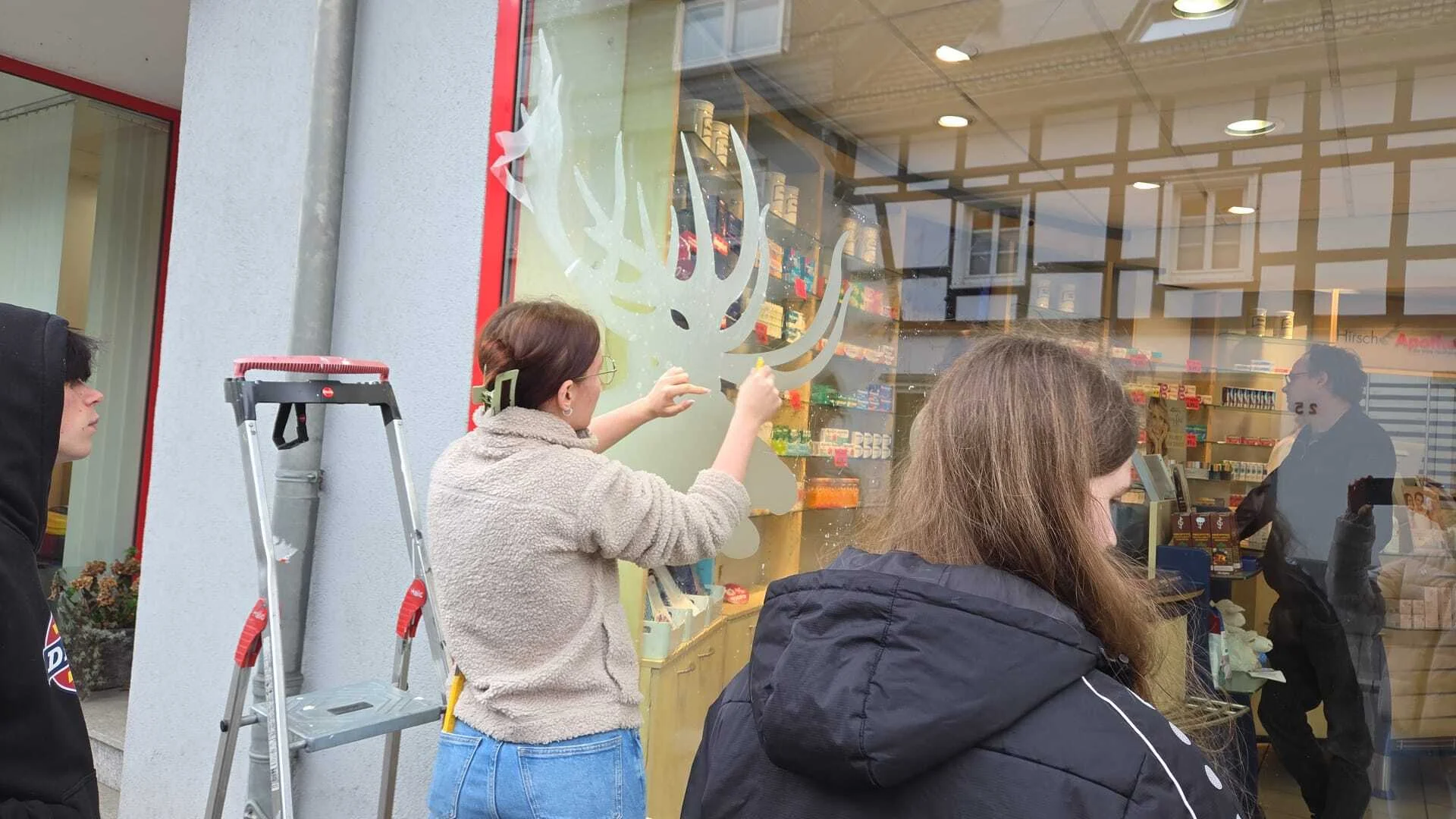 Bild der Galerie