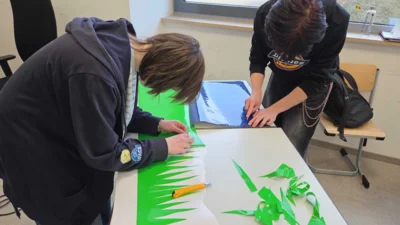 Foto des Albums: BSO-MINT Workshop zur Folientechnik in der EF