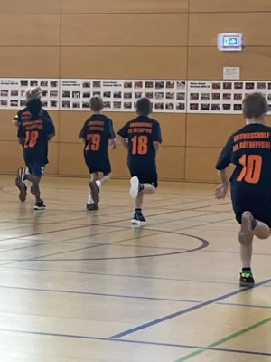 Foto des Albums: Regionalfinale der Handball-AG
