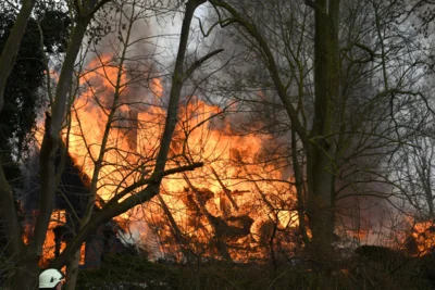 Foto des Albums: Einsatz: FEU 4 Y - Großfeuer vernichtet Reetdachanwesen in Seester