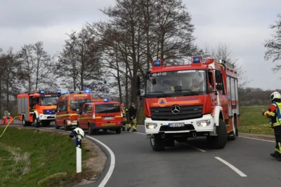Foto des Albums: Einsatz: FEU 4 Y - Großfeuer vernichtet Reetdachanwesen in Seester