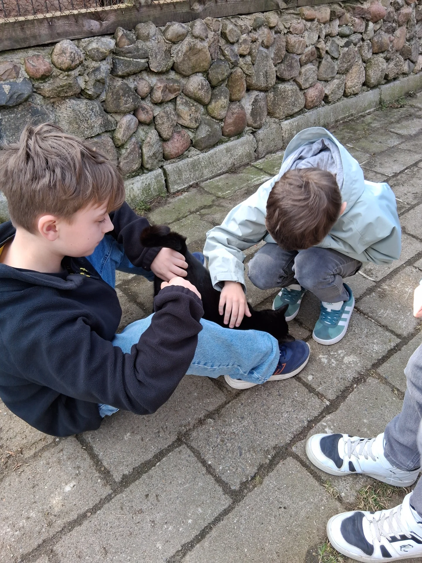 Bild: Tierheim