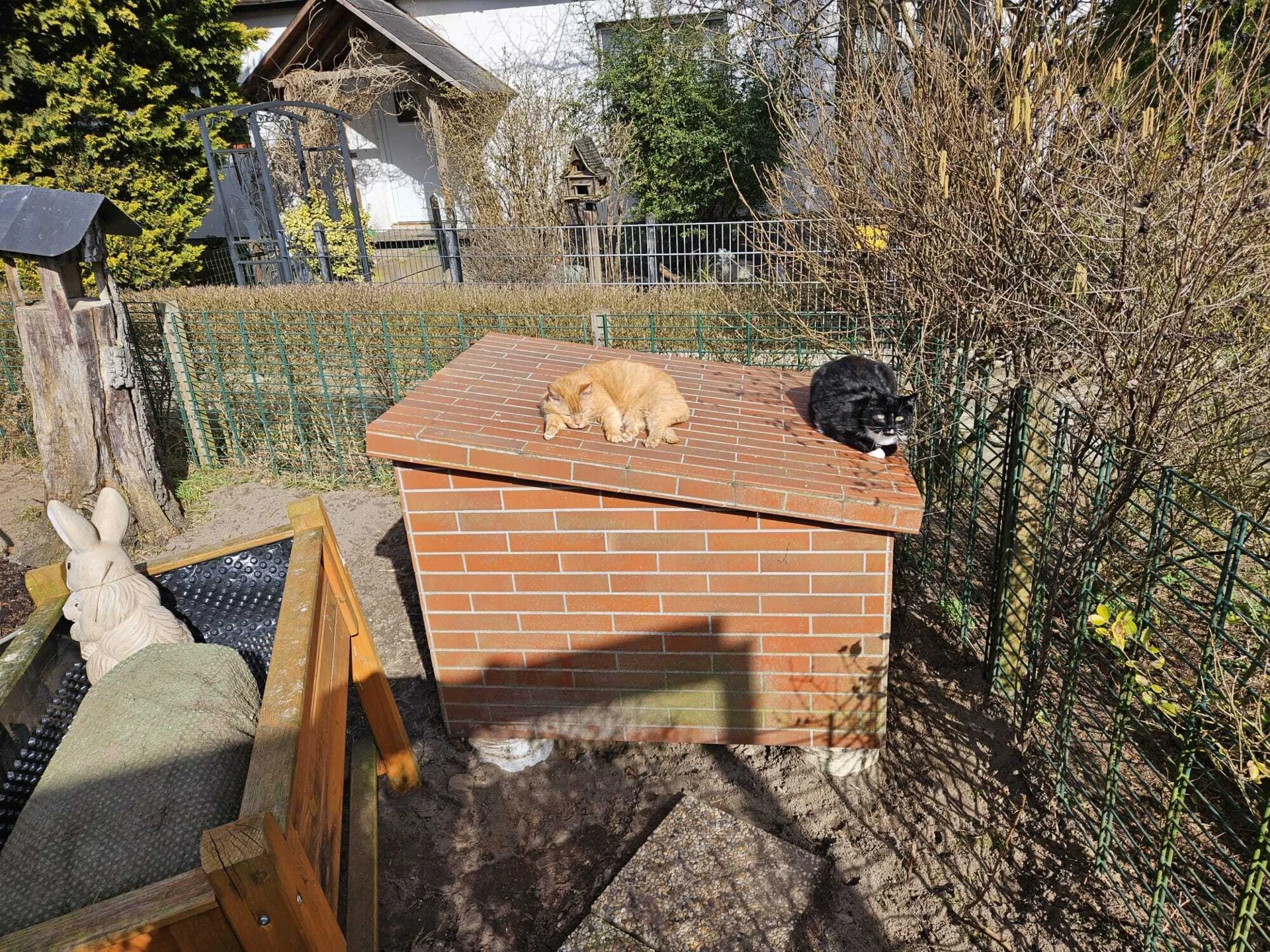 Bild: Tierheim
