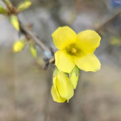 Bild von Stefan J. Uibel  (Bild vergr&ouml;&szlig;ern)