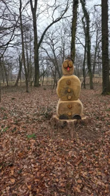 Foto des Albums: Schneeglöckchenlauf 2026
