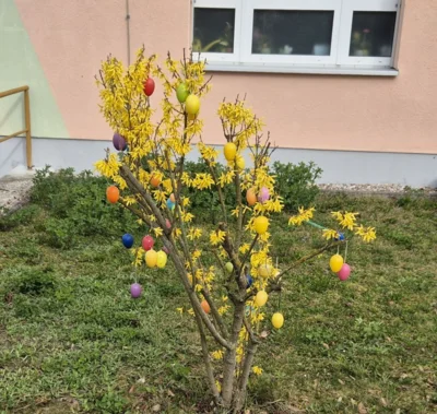 Foto des Albums: Ostern 2026