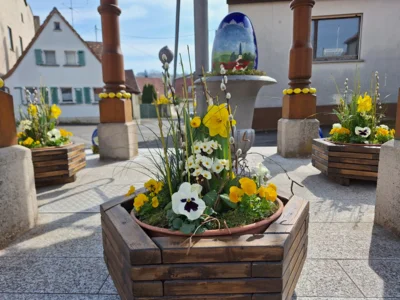 Foto des Albums: Osterbrunnen 2026