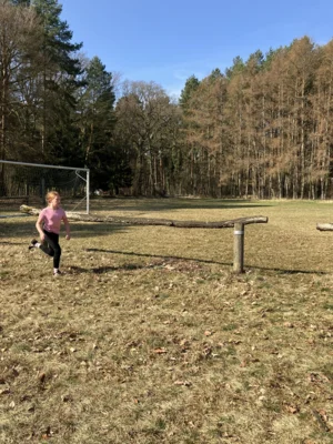 Foto des Albums: Schulcrosslauf