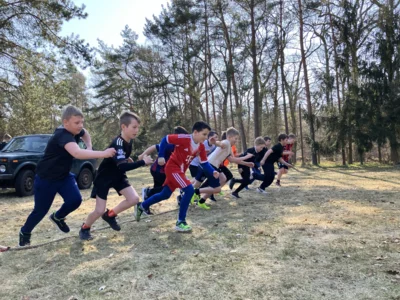 Foto des Albums: Schulcrosslauf