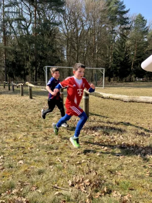 Foto des Albums: Schulcrosslauf