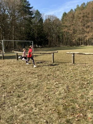 Foto des Albums: Schulcrosslauf