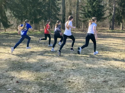 Foto des Albums: Schulcrosslauf