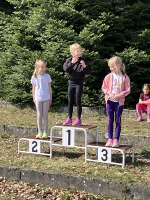 Foto des Albums: Schulcrosslauf